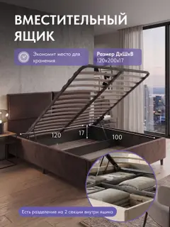 Кровать Манчестер, Стронг 120х200 коричневый — фото 3
