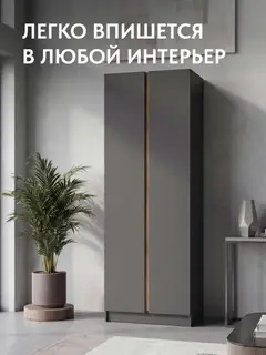 Шкаф для одежды графит Келвин