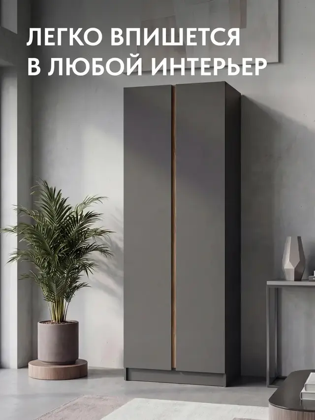 Шкаф для одежды графит 224×80×56 Келвин, 80×56×224 см