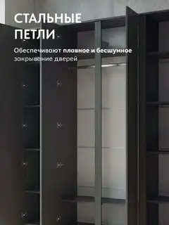 Келвин Шкаф 4-х ств. (2000) (Графит,Графит) — фото 7