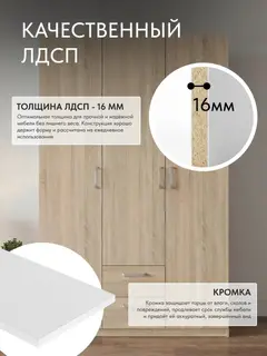 Шкаф Баум 5.14 дуб сонома — фото 5