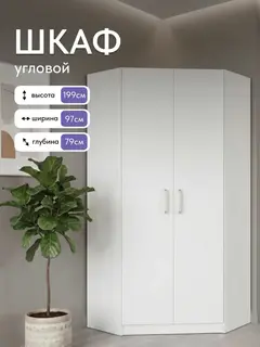 Шкаф Баум 5.09 угловой 2 дверный, 97×79×200 см — фото 2