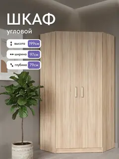 Шкаф Баум 5.09 угловой 2-дверный дуб сонома — фото 2