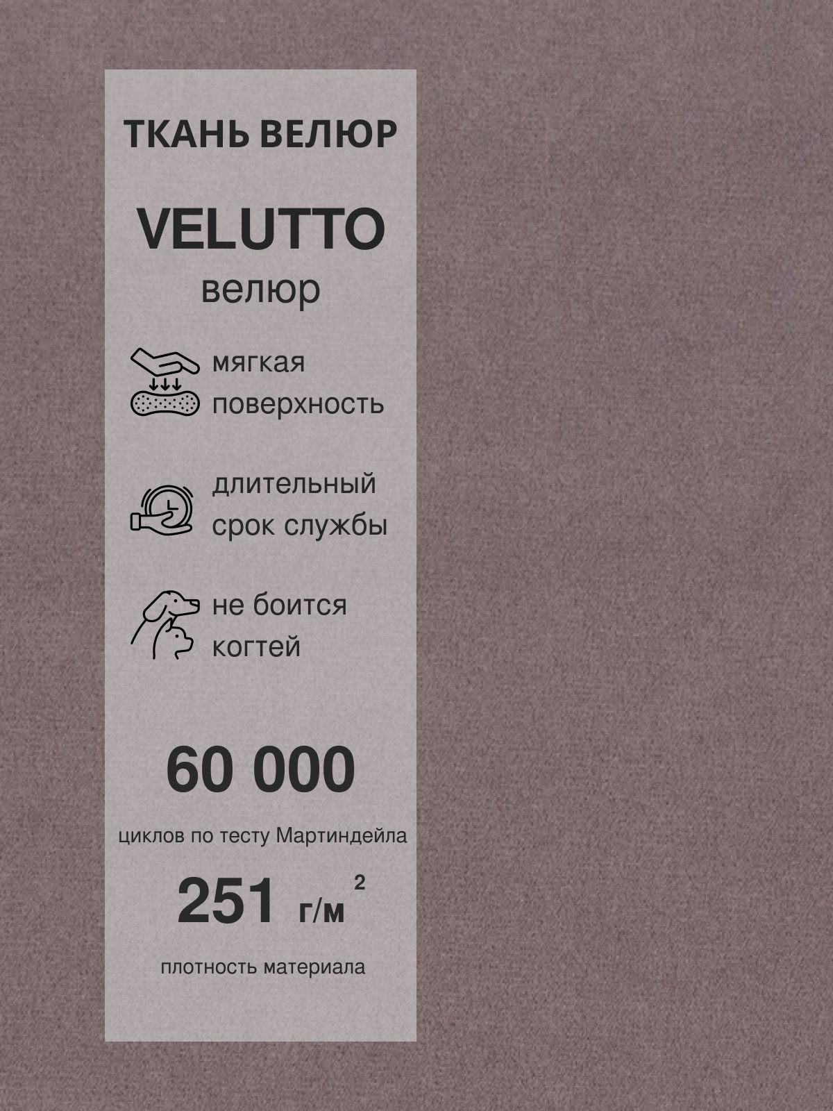 Комплект стульев "Чили", 2 шт, серо-фиолетовый велюр, Divan24 в цвете Серо-фиолетовый - вид 11 | Артикул: 77400412