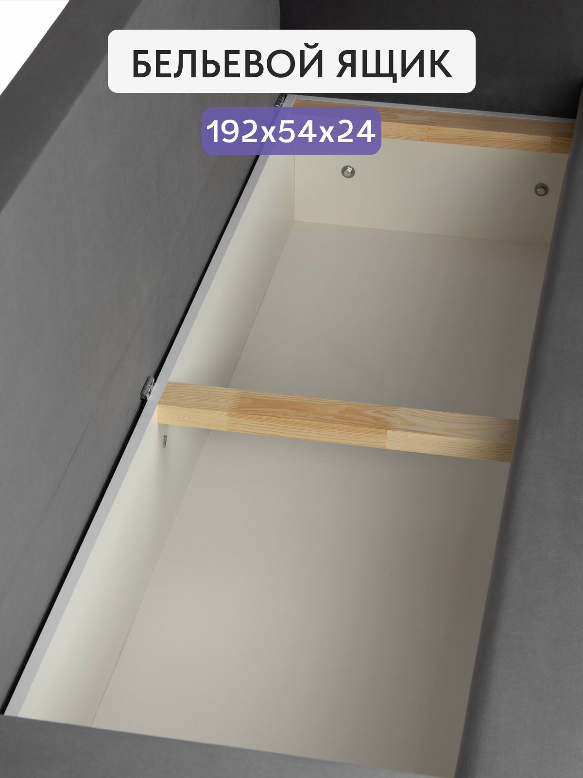 Диван-кровать "Честер", 215x81x75, серый велюр, Divan24 в цвете Серый - вид 4 | Артикул: 77400806